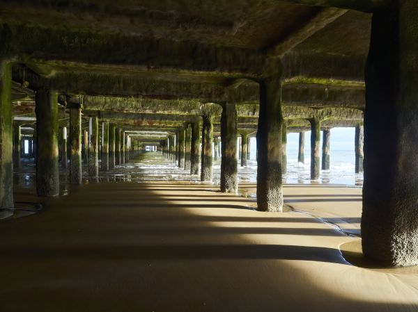 Cost of Concrete Pier Repair in Monroe